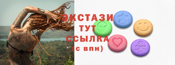 хмурый Аркадак