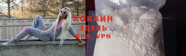 хмурый Аркадак