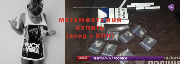 хмурый Аркадак
