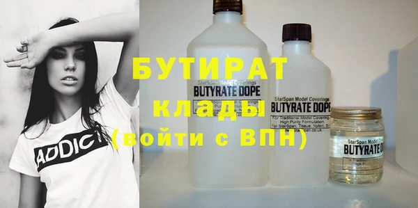 хмурый Аркадак