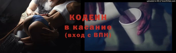 хмурый Аркадак