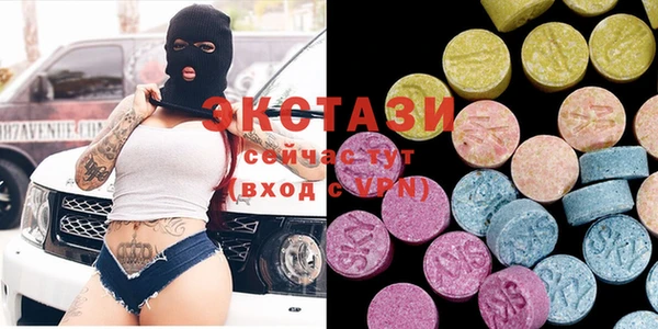 хмурый Аркадак