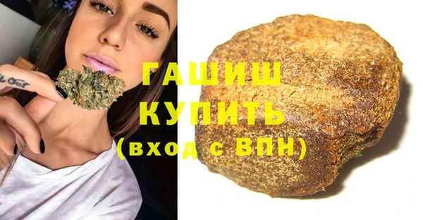 хмурый Аркадак