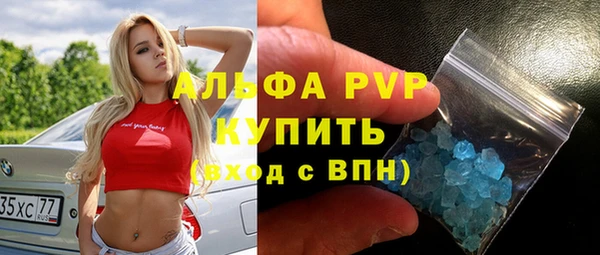 хмурый Аркадак