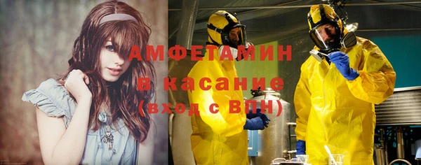 хмурый Аркадак