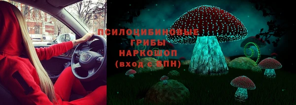 PSILOCYBIN Армянск